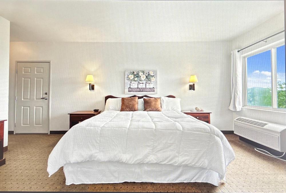 Deluxe Single Room interior